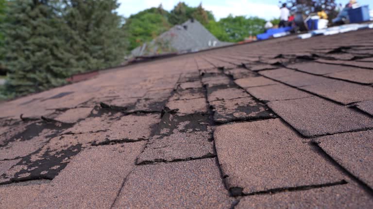 Fast & Reliable Emergency Roof Repairs in Royal Oak, MI